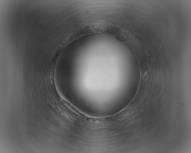 X0000073910772200608251522