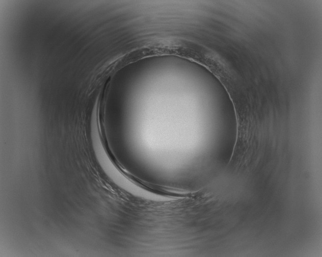 X0000073910773200608251522