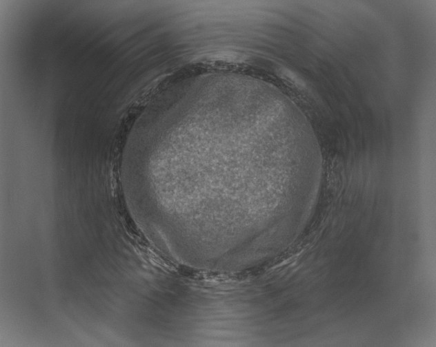 X0000073910774200608251522