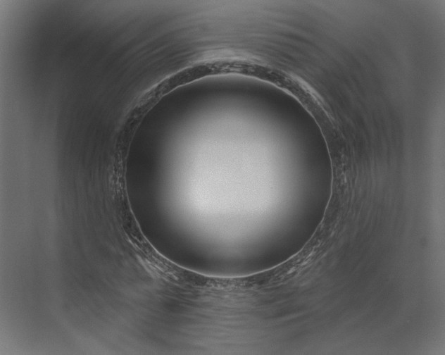X0000073910775200608251522