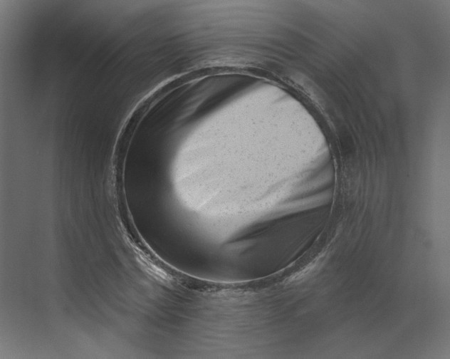 X0000073910779200608251522
