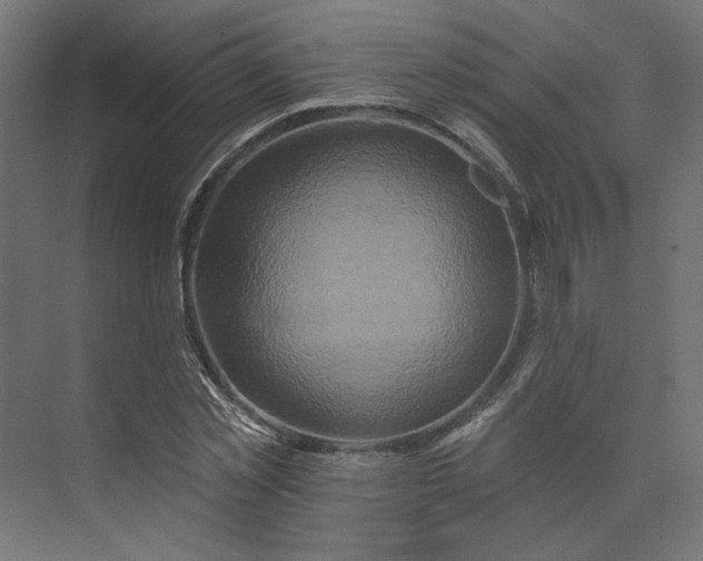 X0000073910781200608251522