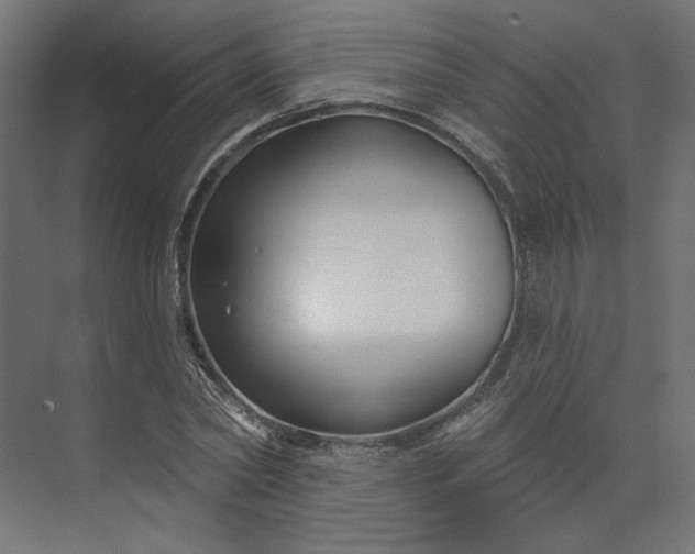 X0000073910782200608251522