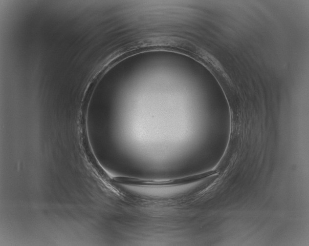 X0000073910786200608251522