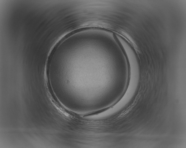 X0000073910788200608251522