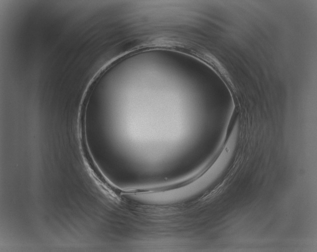 X0000073910795200608251522