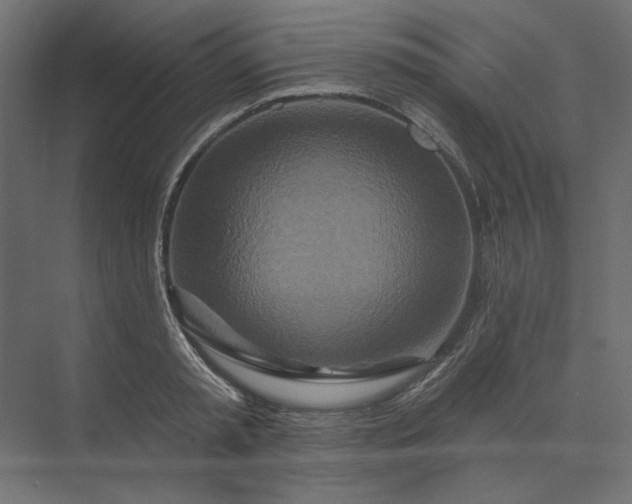 X0000073910797200608251522