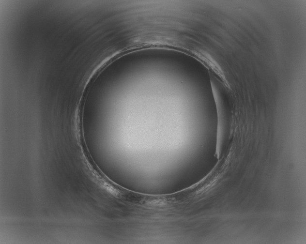 X0000073910798200608251522