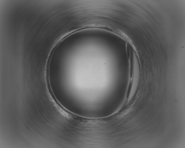 X0000073910803200608251522