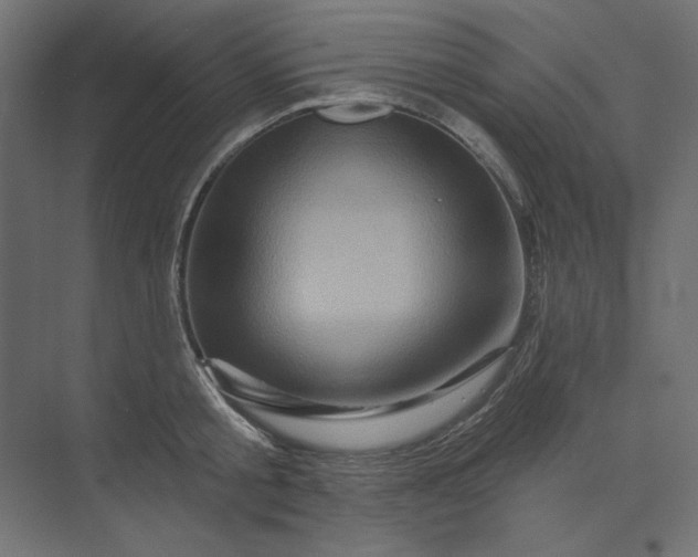 X0000073910805200608251522