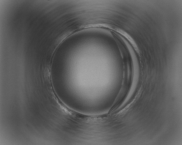 X0000073910809200608251522