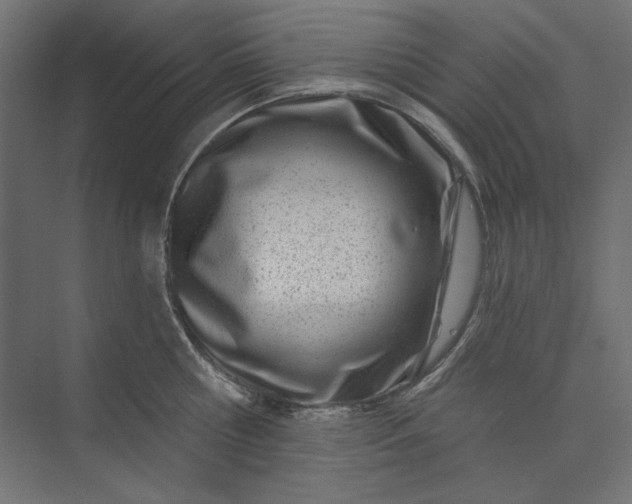 X0000073910810200608251522