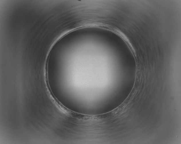 X0000073910811200608251522