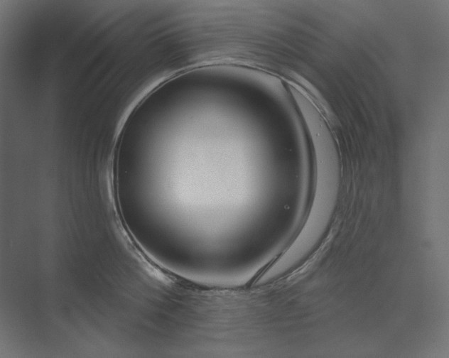 X0000073910812200608251522