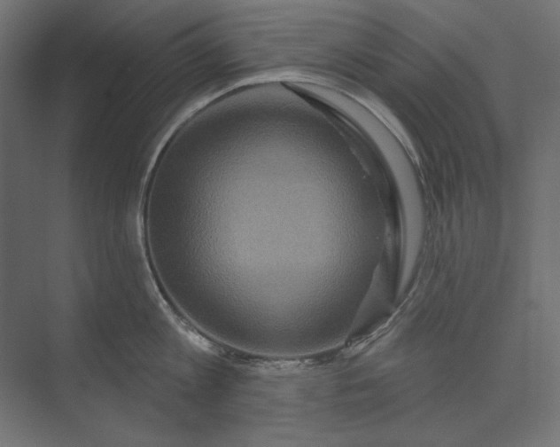 X0000073910813200608251522