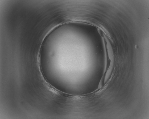 X0000073910814200608251522