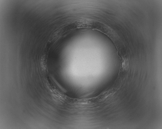 X0000073910819200608251521