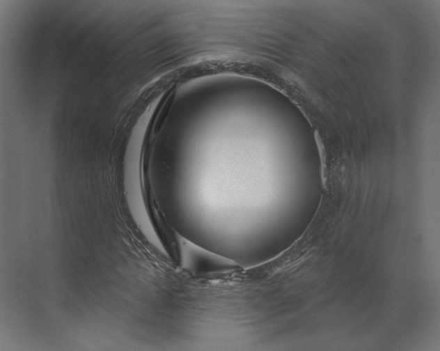 X0000073910822200608251521