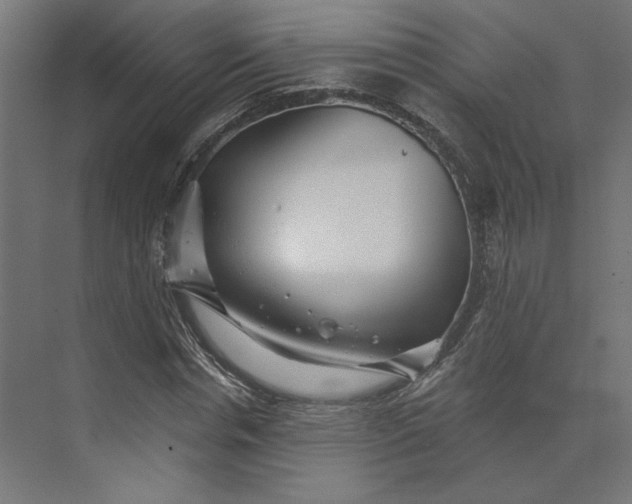 X0000073910826200608251521