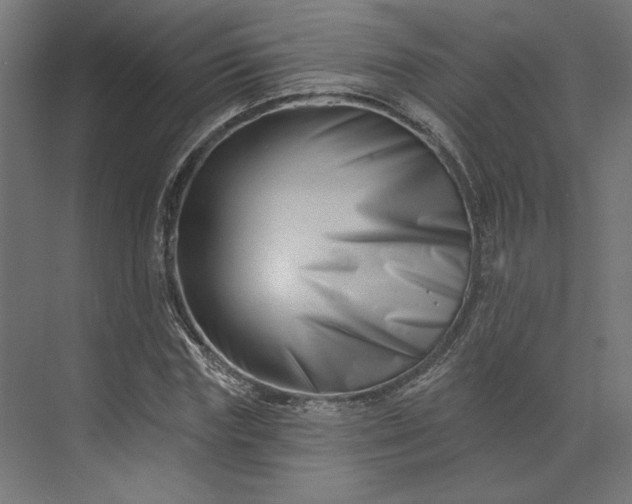 X0000073910827200608251521