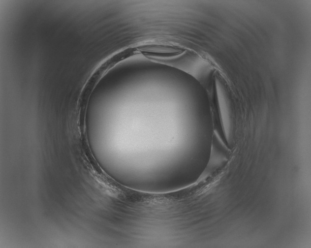 X0000073910830200608251521