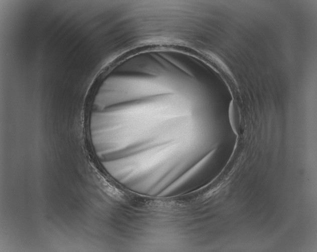 X0000073910831200608251521