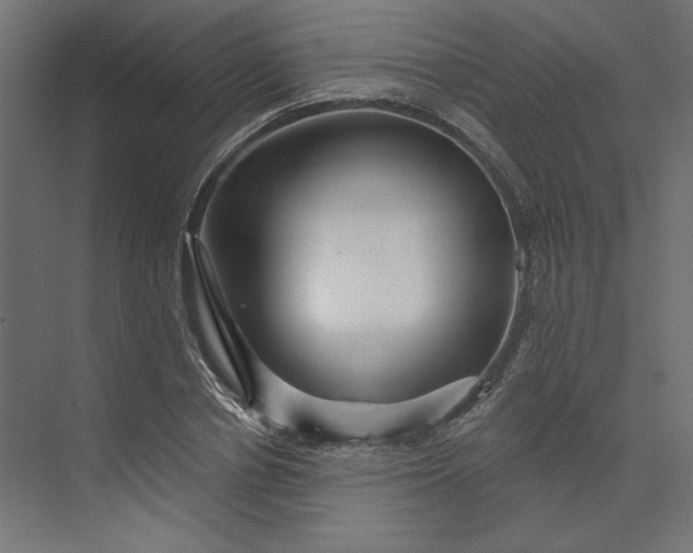 X0000073910834200608251521