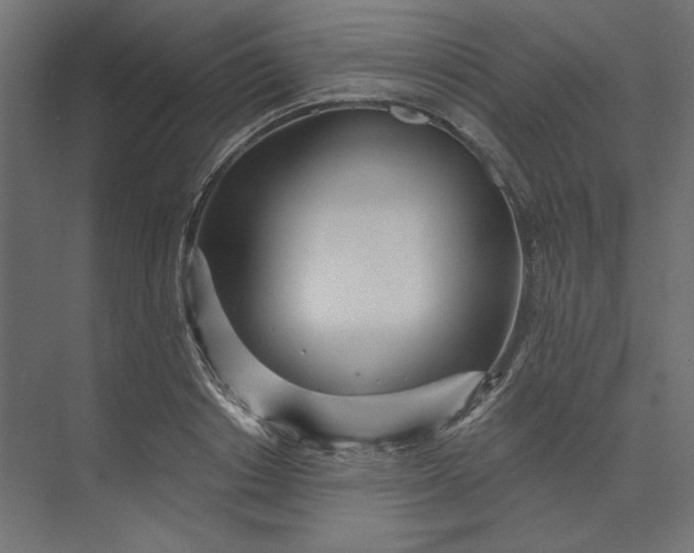 X0000073910842200608251521