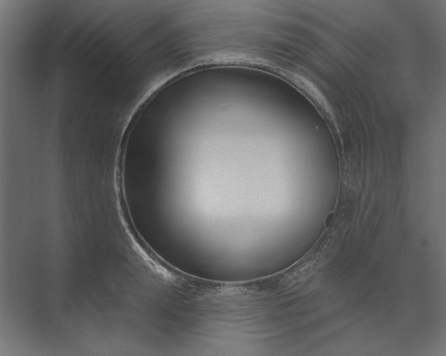 X0000073910847200608251521