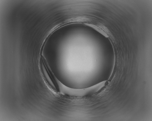 X0000073910850200608251521