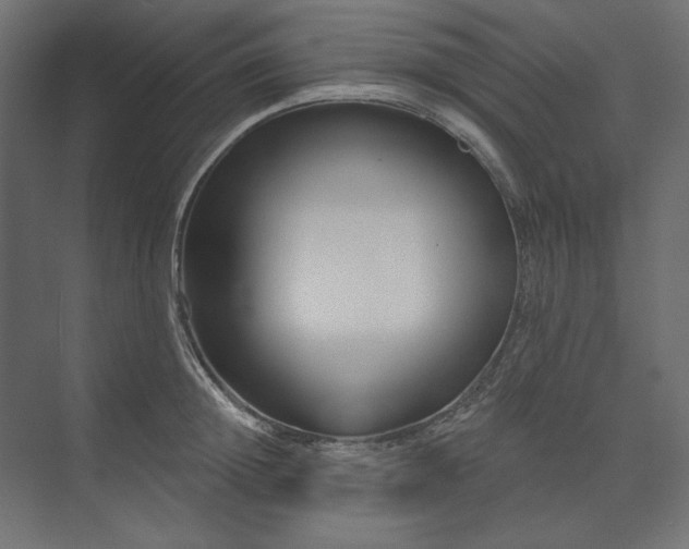 X0000073910852200608251521