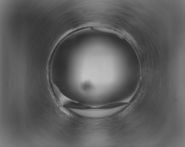 X0000073910854200608251521