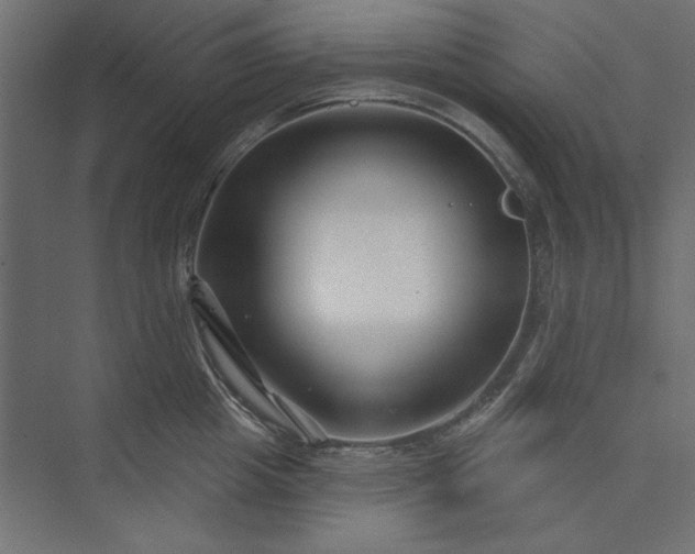 X0000073910857200608251521