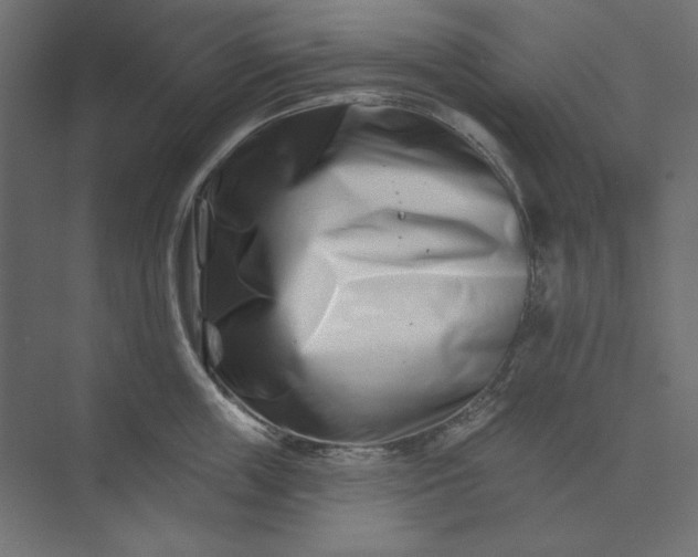 X0000073910859200608251521