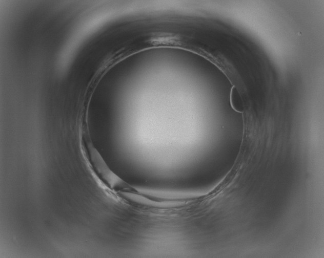 X0000073910861200608251521