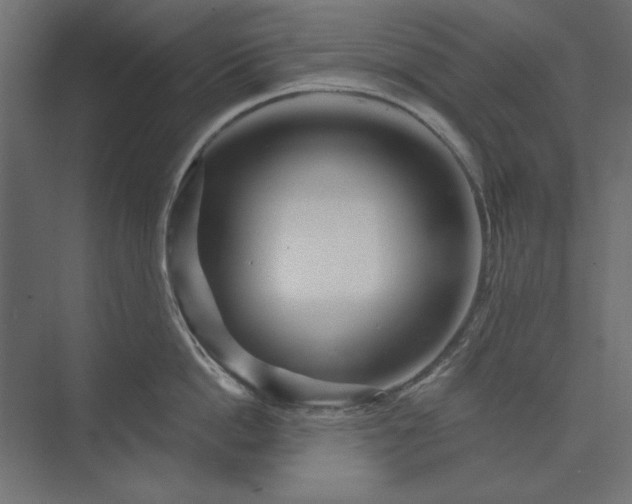 X0000073910862200608251521