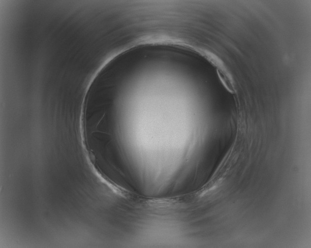 X0000073910863200608251521