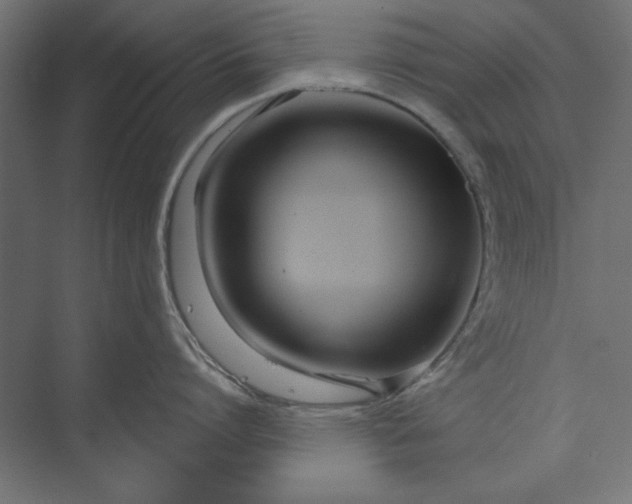 X0000073910864200608251522