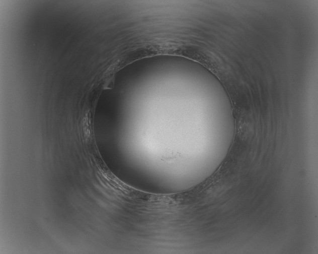 X0000073910866200608251521
