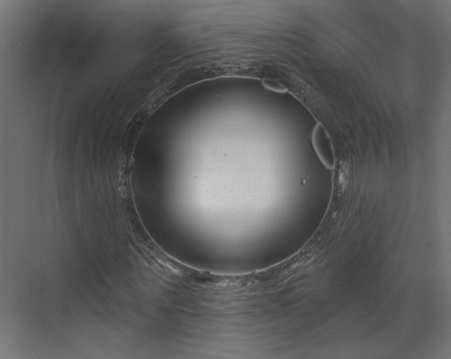 X0000073910867200608251521