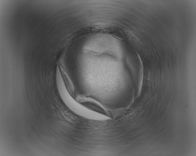 X0000073910868200608251521