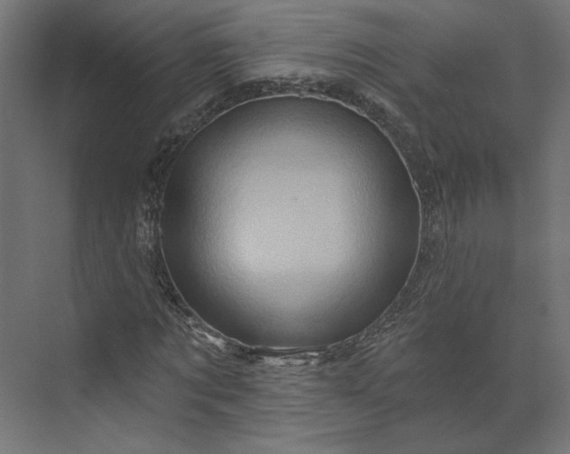 X0000073910869200608251521