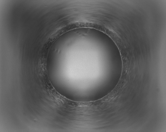X0000073910870200608251521