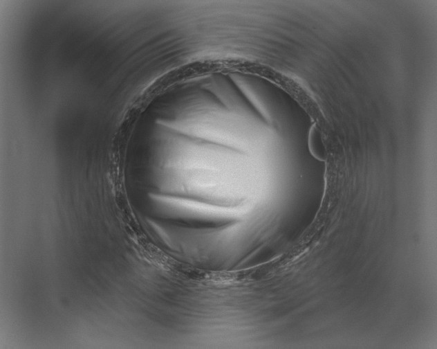 X0000073910871200608251521