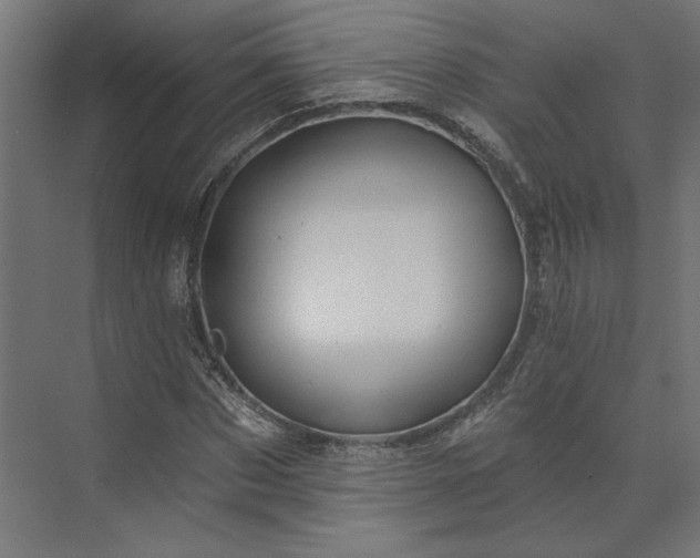 X0000073910873200608251521