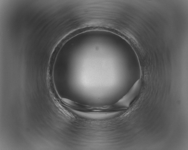 X0000073910880200608251520