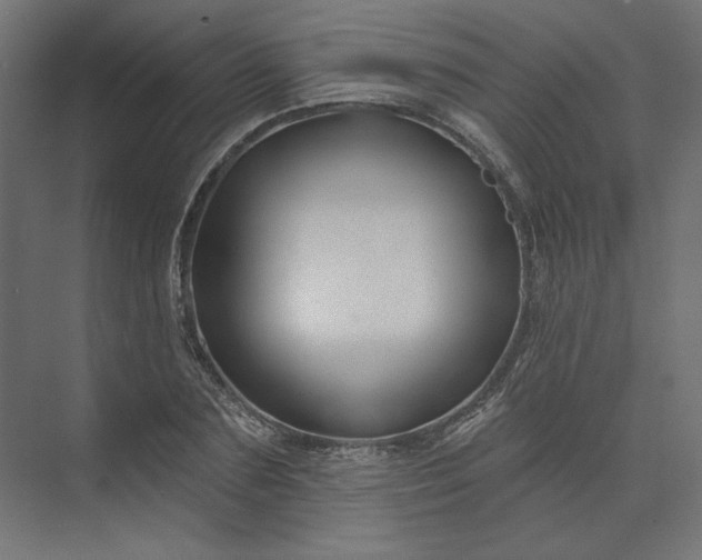 X0000073910883200608251520