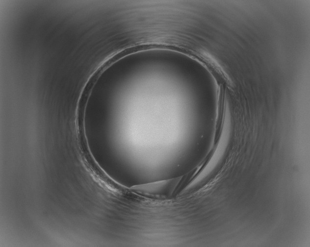 X0000073910884200608251520