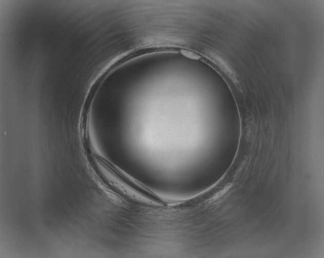 X0000073910885200608251520