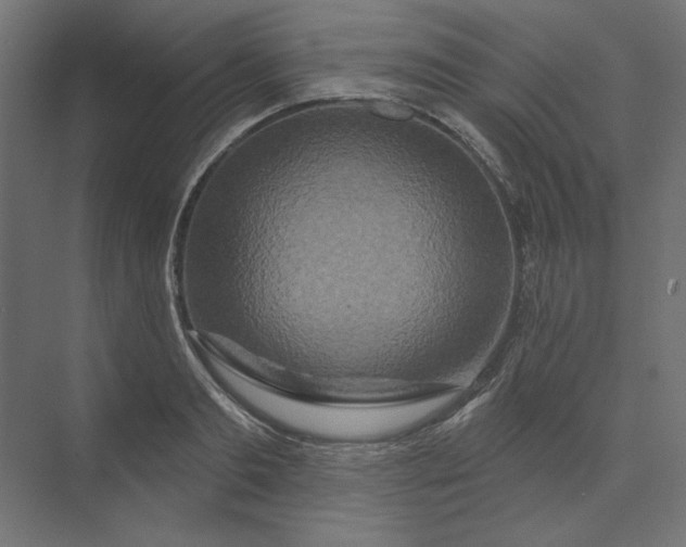 X0000073910893200608251520